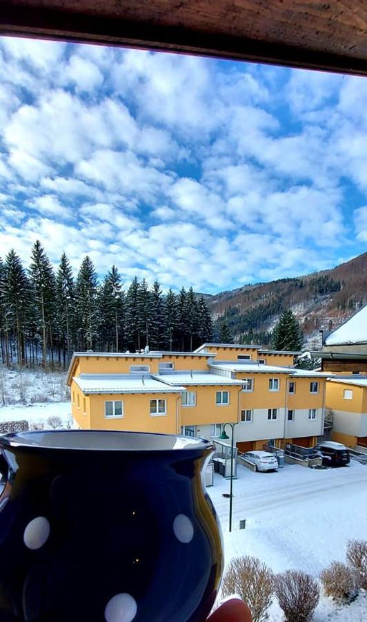 Ferienwohnung Bergspass Gaming Ngoại thất bức ảnh